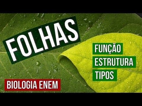 Thumbnail da aula: AS FOLHAS: função, estrutura e tipos | RESUMO DE BOTÂNICA. É biologia no Enem. Profe Claudia Aguiar