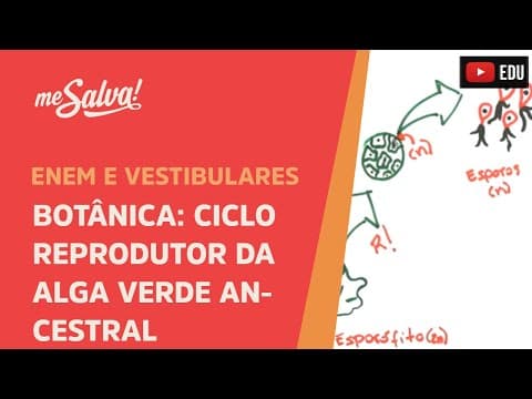 Thumbnail da aula: Me Salva! BOT02 - Botânica - Ciclo reprodutor da alga verde ancestral