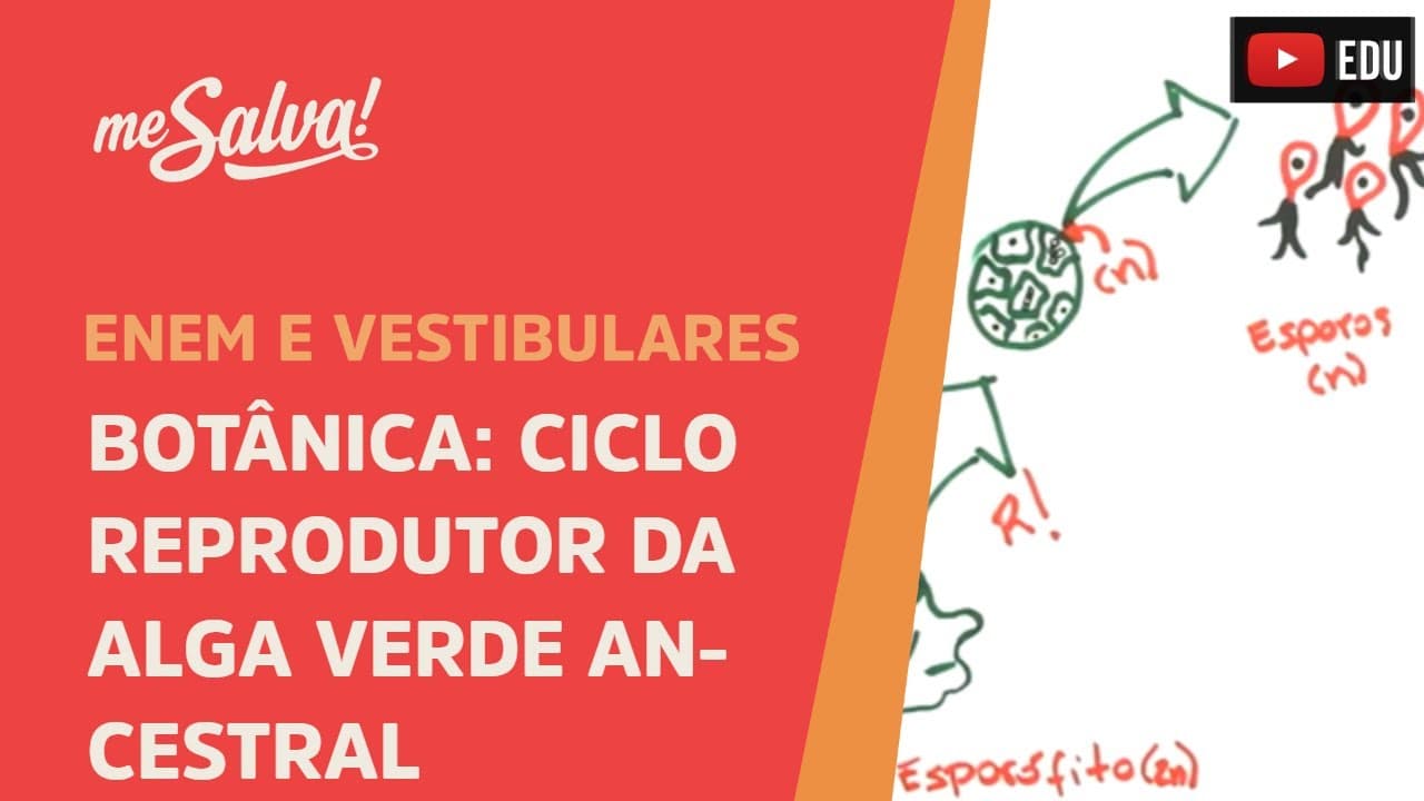Thumbnail: Me Salva! BOT02 - Botânica - Ciclo reprodutor da alga verde ancestral