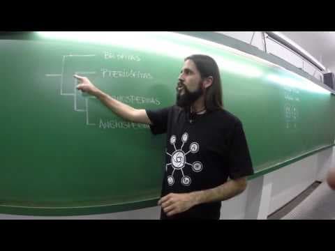 Thumbnail da aula: Biologia: confira a dica para a primeira fase da Unicamp 2016
