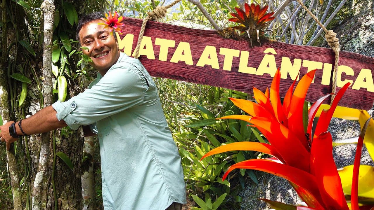 Thumbnail: Mata Atlântica | Biomas do Brasil | Ep.7