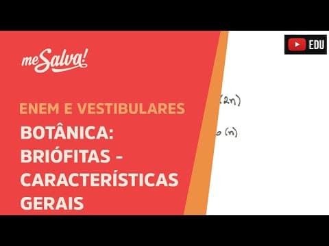 Thumbnail da aula: Me Salva! BOT03 - Botânica - Briófitas: Características gerais