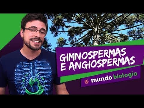 Thumbnail da aula: 🌿 Botânica (2/5): Gimnospermas e Angiospermas - Biologia - ENEM