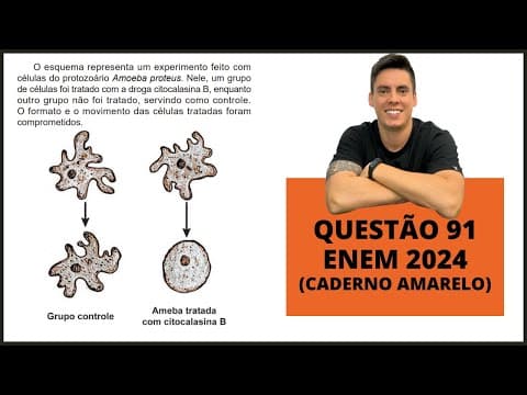Thumbnail da aula: BIOLOGIA ENEM 2024! "O esquema representa um experimento feito com células do protozoário"