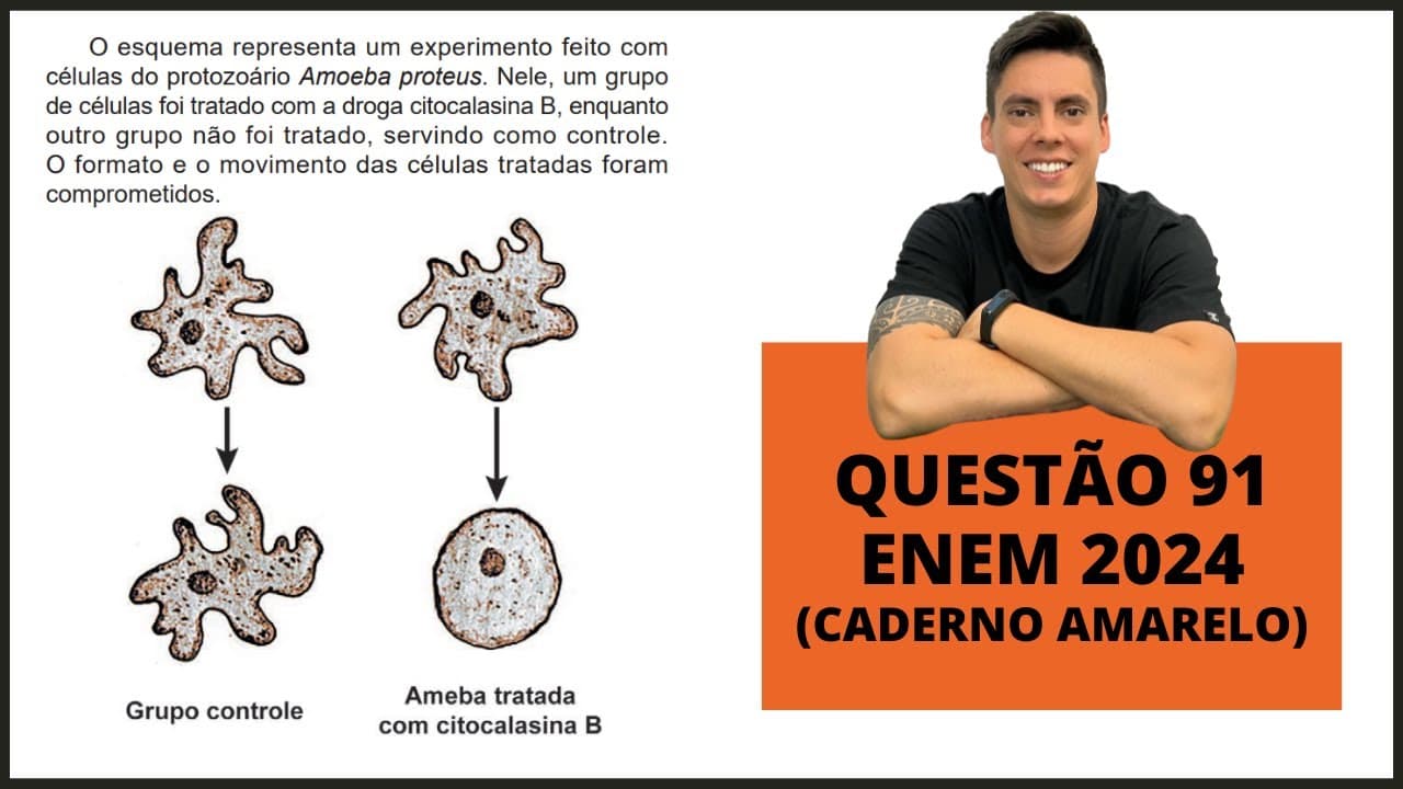 Thumbnail: BIOLOGIA ENEM 2024! "O esquema representa um experimento feito com células do protozoário"