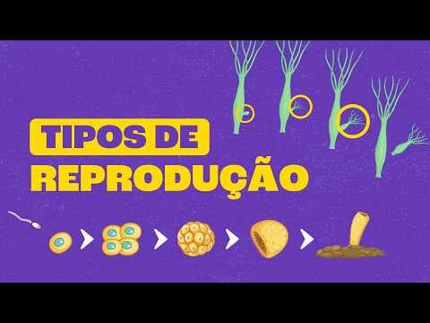 Thumbnail da aula: Reprodução Sexuada e Assexuada: Como as Espécies se Multiplcam?