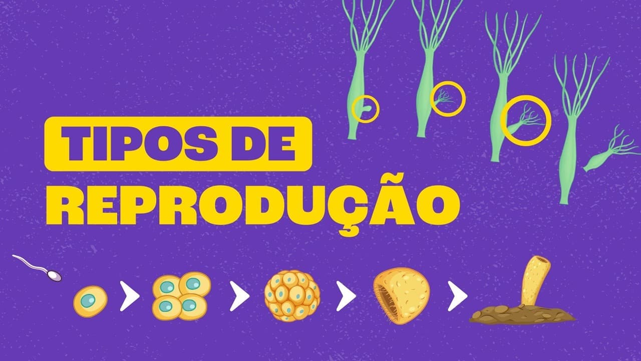 Thumbnail: Reprodução Sexuada e Assexuada: Como as Espécies se Multiplcam?