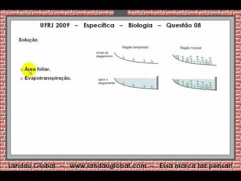 Thumbnail da aula: UFRJ 2009 BIO P2 Q08
