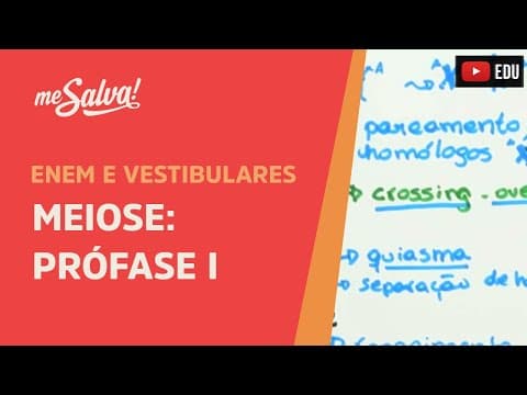 Thumbnail da aula: Me Salva!  CIT27 - Citologia - Meiose: Prófase I