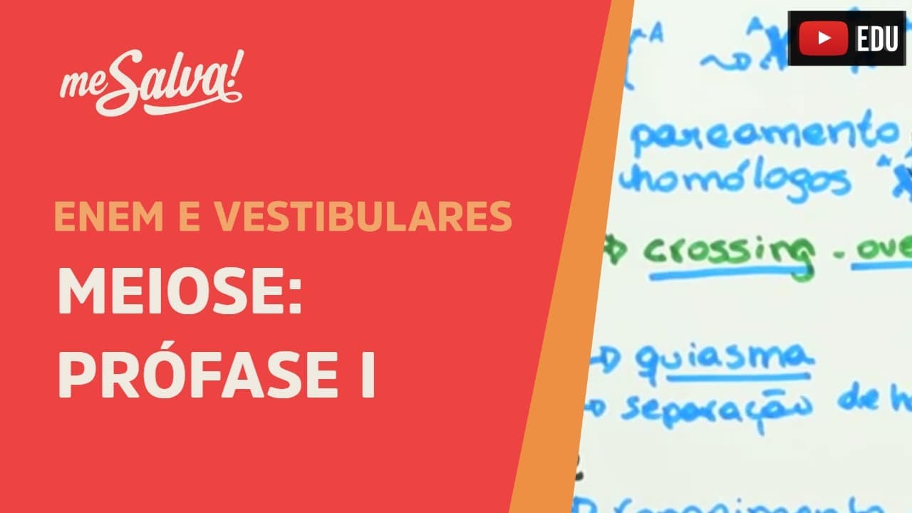 Thumbnail: Me Salva!  CIT27 - Citologia - Meiose: Prófase I