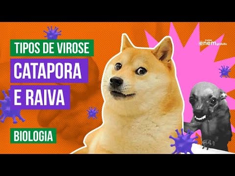 Thumbnail da aula: CATAPORA E RAIVA | Tipos de Viroses | Resumo de Biologia Enem | Cláudia de Souza Aguiar