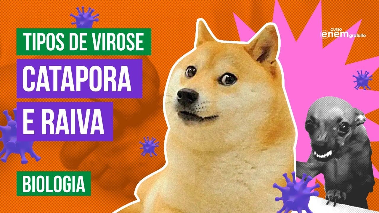 Thumbnail: CATAPORA E RAIVA | Tipos de Viroses | Resumo de Biologia Enem | Cláudia de Souza Aguiar