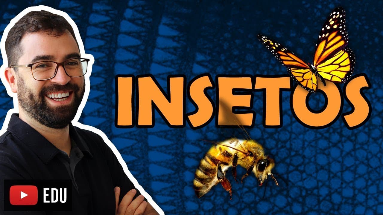 Thumbnail: Insetos (Artrópodes: Parte 4) - Aula 23 - Módulo VI: Zoologia | Prof. Guilherme