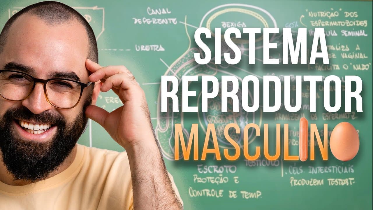 Thumbnail: Sistema Reprodutor Masculino - Aula 33 - Módulo VII: Fisiologia Humana | Prof. Gui