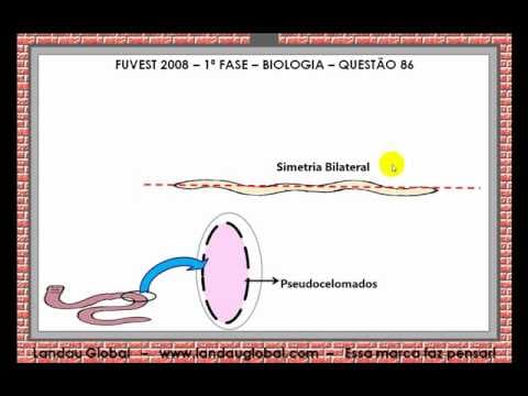 Thumbnail da aula: USP_2008_BIO_P1_Q86