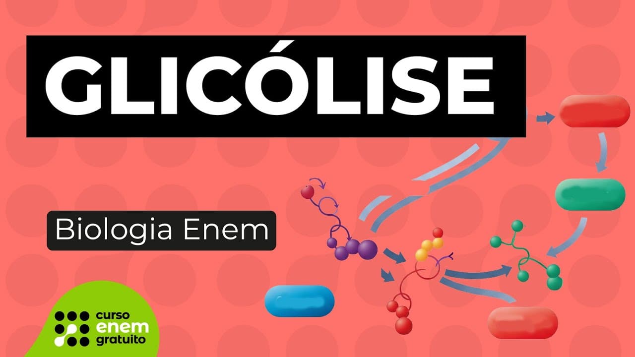 Thumbnail: GLICÓLISE | Biologia para o Enem | Cláudia de Souza Aguiar