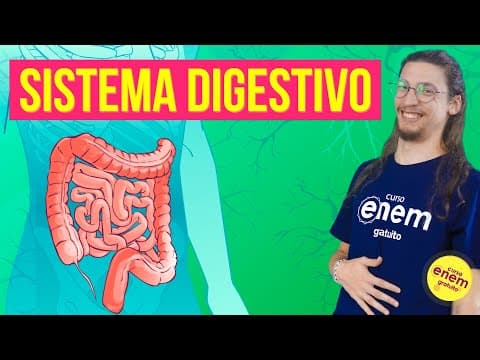 Thumbnail da aula: SISTEMA DIGESTIVO: ANATOMIA E FUNÇÕES | Resumo de Biologia para o Enem