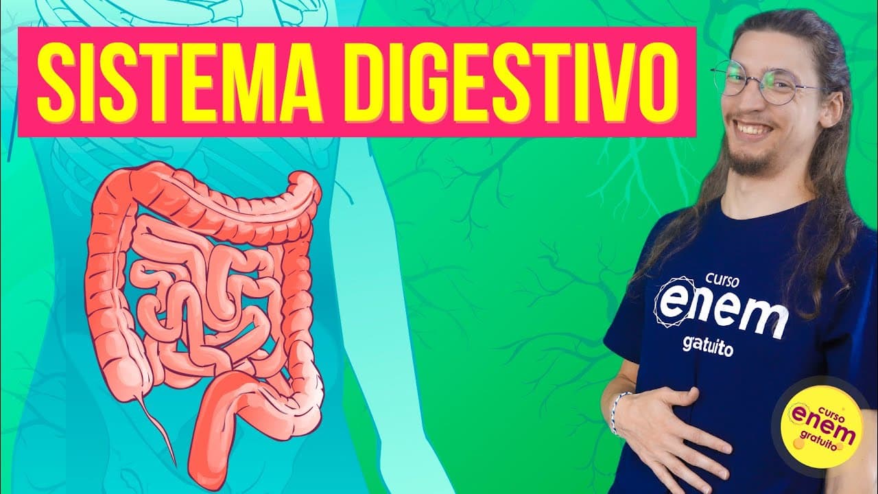 Thumbnail: SISTEMA DIGESTIVO: ANATOMIA E FUNÇÕES | Resumo de Biologia para o Enem
