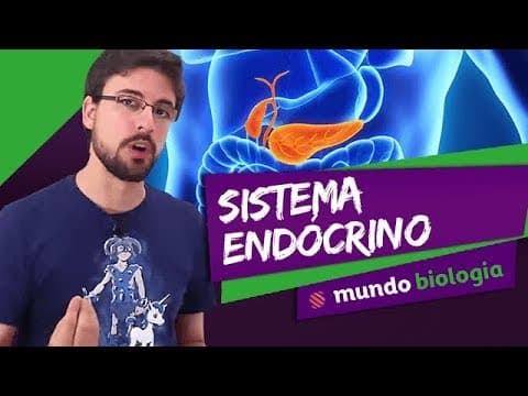 Thumbnail da aula: 👩‍⚕️ Fisiologia (7/8): Sistema Endócrino - Biologia - ENEM