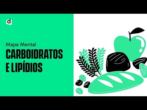 Thumbnail da aula: CARBOIDRATOS E LIPÍDOS: PRA QUE SERVEM? | QUER QUE DESENHE
