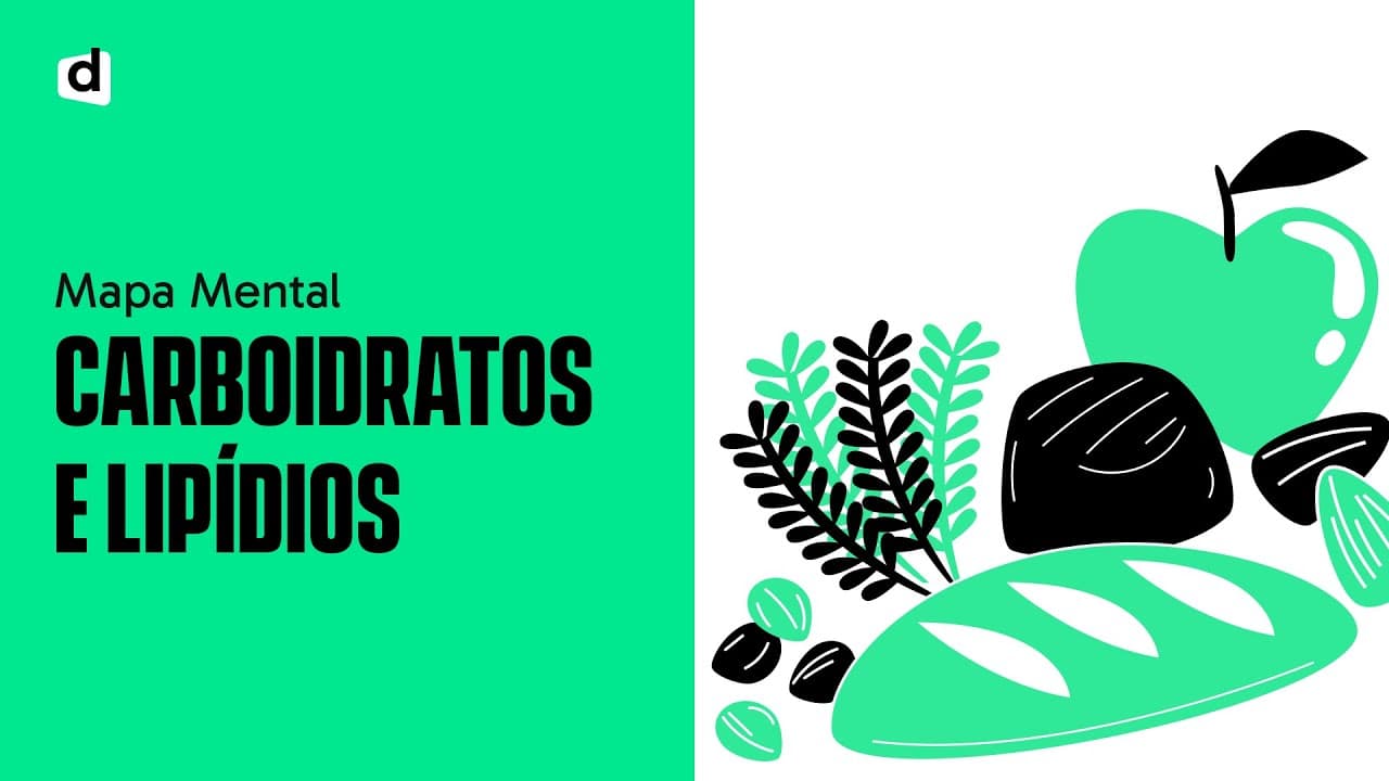 Thumbnail: CARBOIDRATOS E LIPÍDOS: PRA QUE SERVEM? | QUER QUE DESENHE