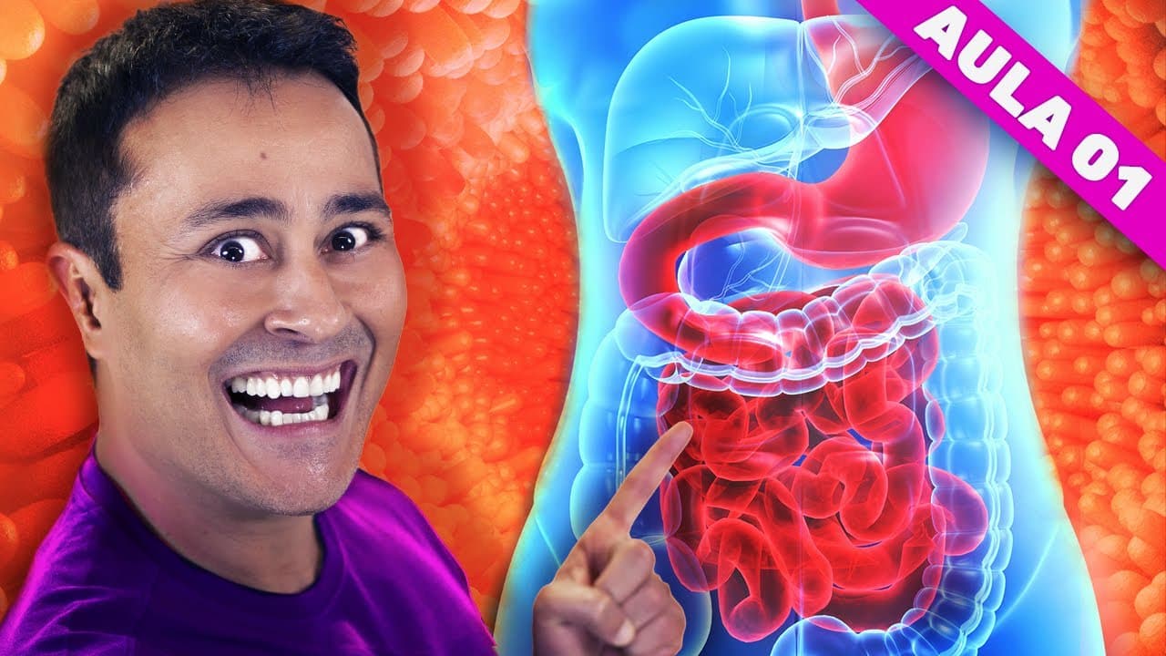 Thumbnail: SISTEMA DIGESTÓRIO: Função | AULA 1