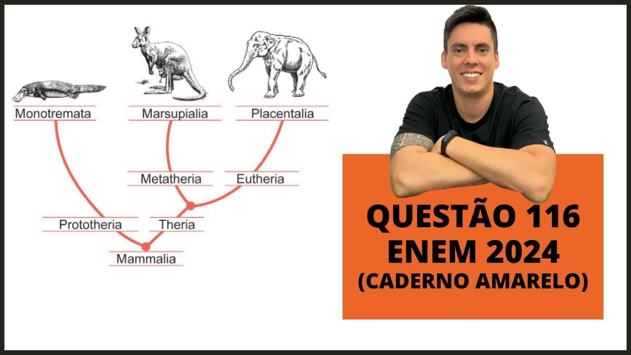 Thumbnail: BIOLOGIA ENEM 2024! "Apesar de os animais representados no cladograma compartilharem..."