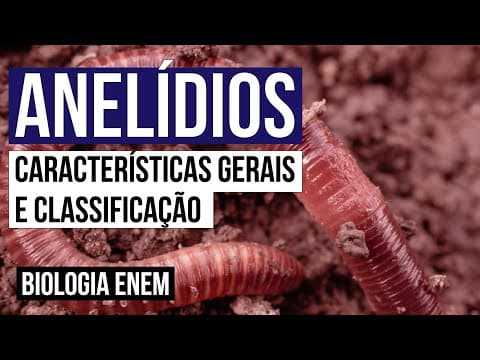 Thumbnail da aula: ANELÍDIOS: características gerais e classificação | Biologia para o Enem | Cláudia de Souza Aguiar