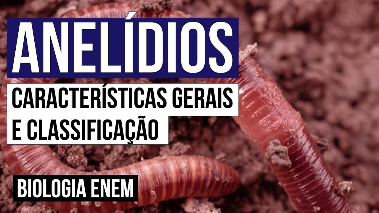 Thumbnail: ANELÍDIOS: características gerais e classificação | Biologia para o Enem | Cláudia de Souza Aguiar