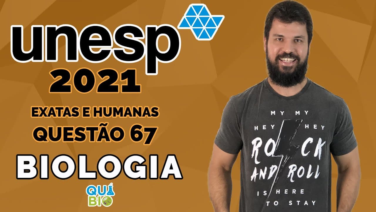 Thumbnail: UNESP 2021 - Questão 67 - Neste trabalho de Leonardo da Vinci transparece a sua dedicação alicerçada