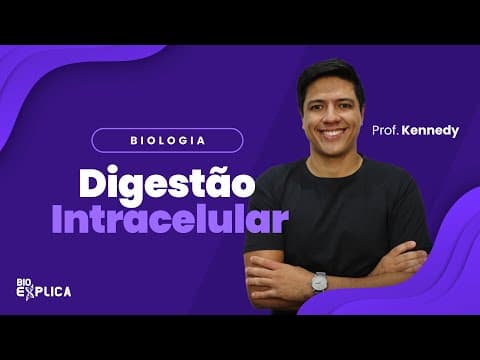 Thumbnail da aula: Digestão Intracelular | Prof. Kennedy