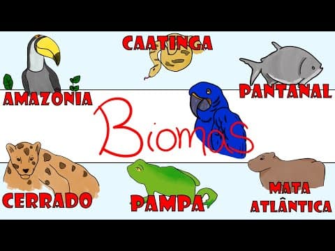 Thumbnail da aula: Principais BIOMAS Brasileiros - Resumo Ilustrado