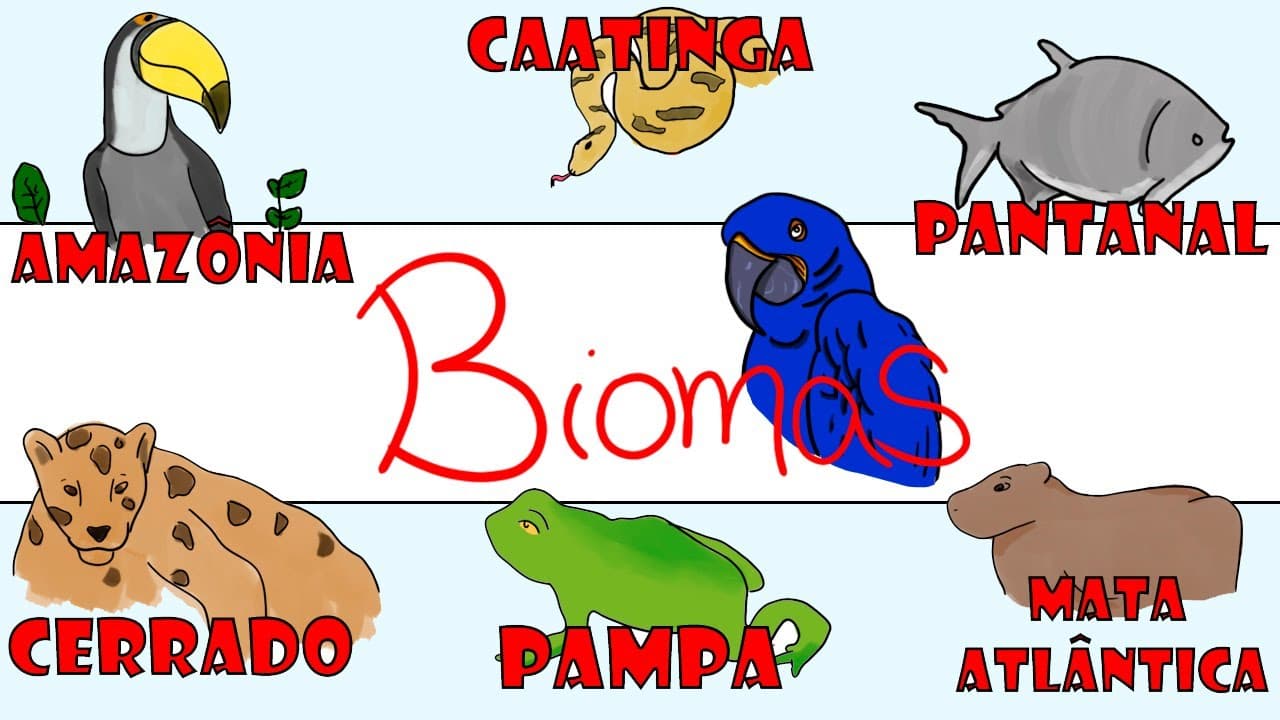 Thumbnail: Principais BIOMAS Brasileiros - Resumo Ilustrado