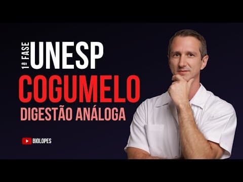 Thumbnail da aula: UNESP 2023 - A imagem mostra um cogumelo que cresceu em meio ao gramada do jardim de uma residência.