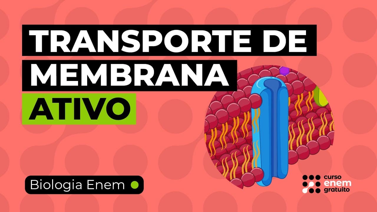 Thumbnail: O QUE É E COMO ESTUDAR TRANSPORTE DE MEMBRANA ATIVO | Biologia para o Enem | Cláudia Aguiar