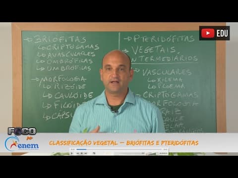 Thumbnail da aula: Videoaulas Poliedro | Enem | Briófitas e Pteridófitas