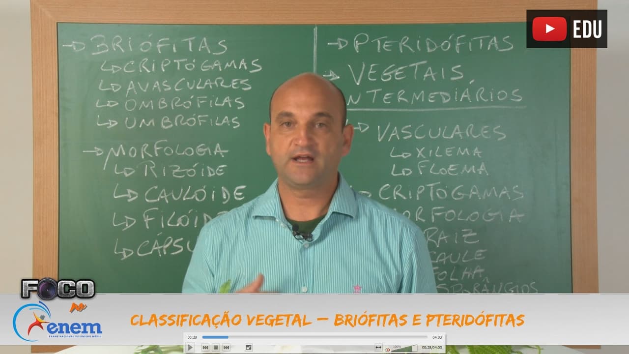 Thumbnail: Videoaulas Poliedro | Enem | Briófitas e Pteridófitas