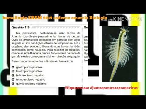 Thumbnail da aula: Questão 118 biologia caderno amarelo ENEM 2019 bioambiental