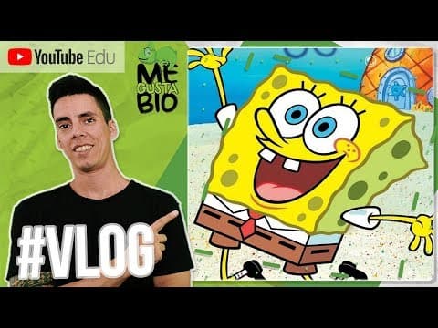 Thumbnail da aula: Bob Esponja e a Biologia
