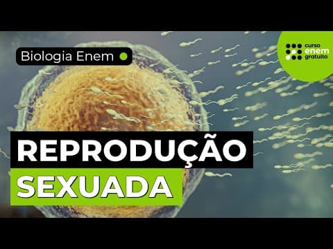 Thumbnail da aula: REPRODUÇÃO SEXUADA: VANTAGENS E DESVANTAGENS | Resumo de Biologia para o Enem