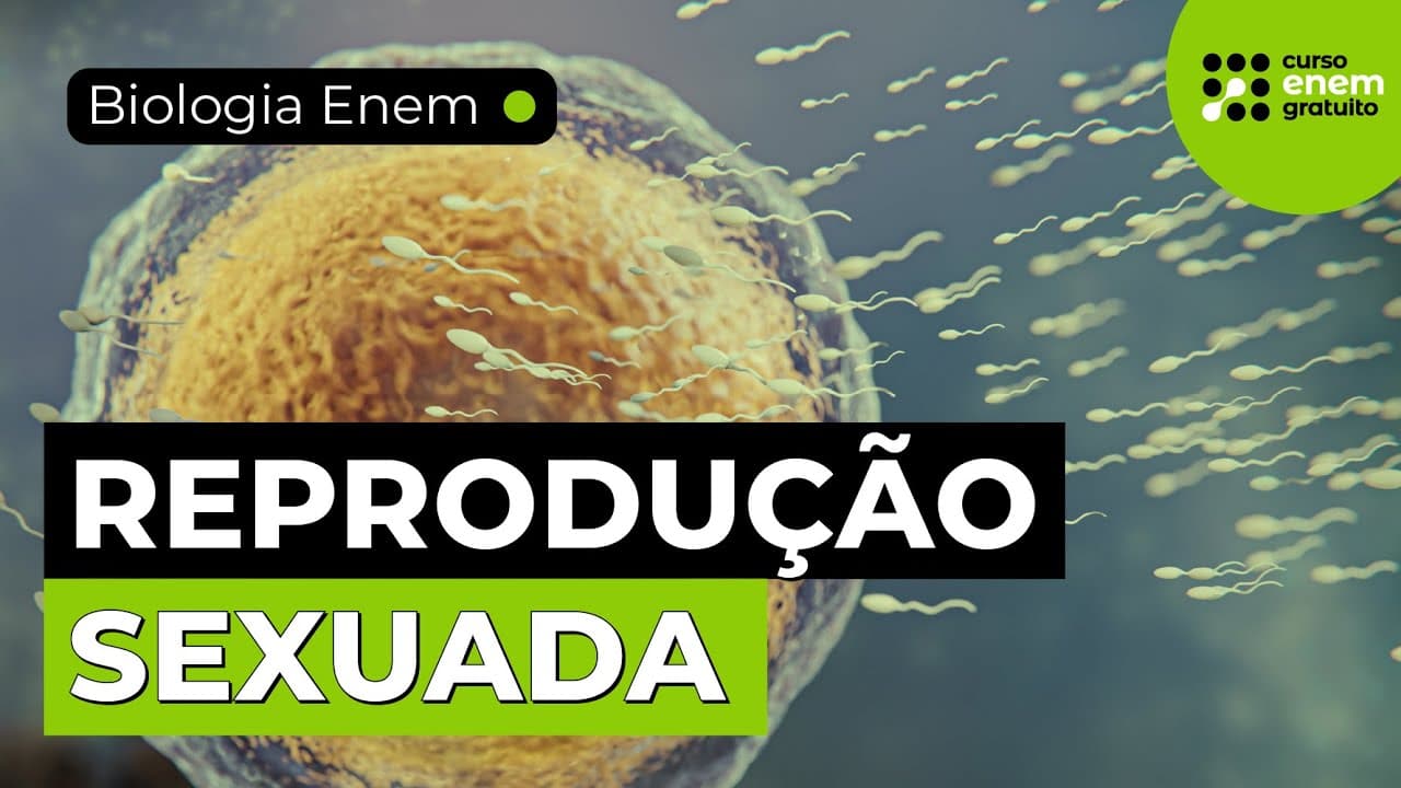 Thumbnail: REPRODUÇÃO SEXUADA: VANTAGENS E DESVANTAGENS | Resumo de Biologia para o Enem