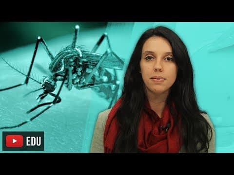 Thumbnail da aula: Zika Vírus