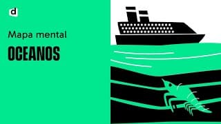 OCEANOS: Tudo o que você precisa SABER sobre eles! | Quer Que Desenhe