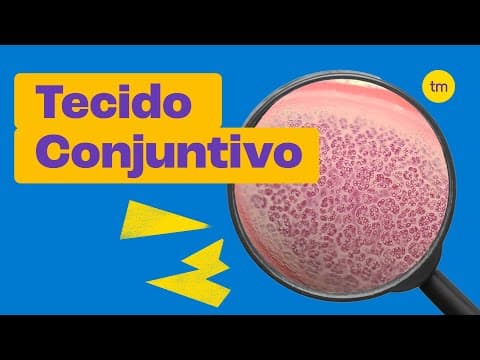 Thumbnail da aula: Tecido Conjuntivo | Características, tipos e funções