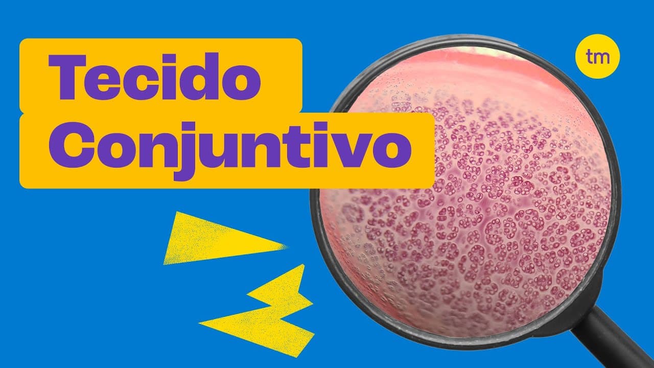 Thumbnail: Tecido Conjuntivo | Características, tipos e funções