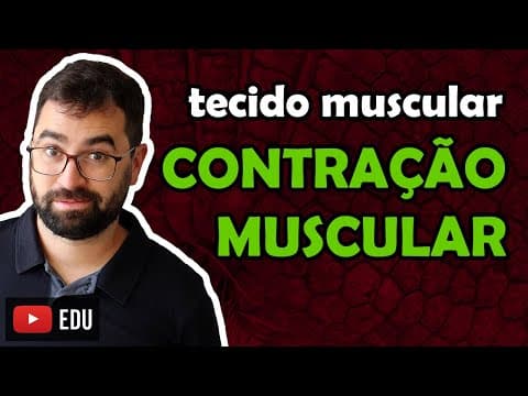 Thumbnail da aula: Fisiologia da Contração Muscular - Aula 15 - Módulo VII: Histologia e Fisiologia Humana | Prof. Gui