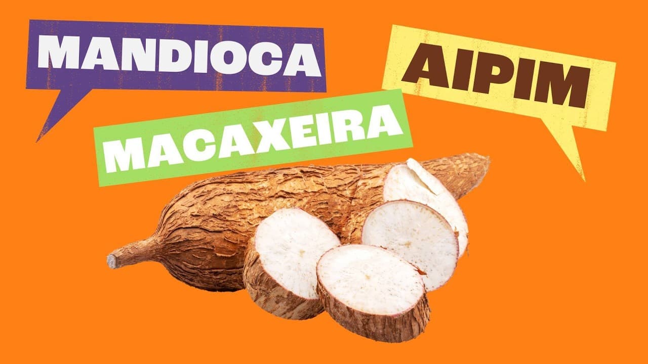 Thumbnail: Variação Linguística: As Diferentes Formas de Falar a Língua