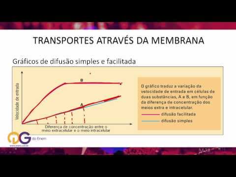 Thumbnail da aula: Biologia: Difusão - ENEM