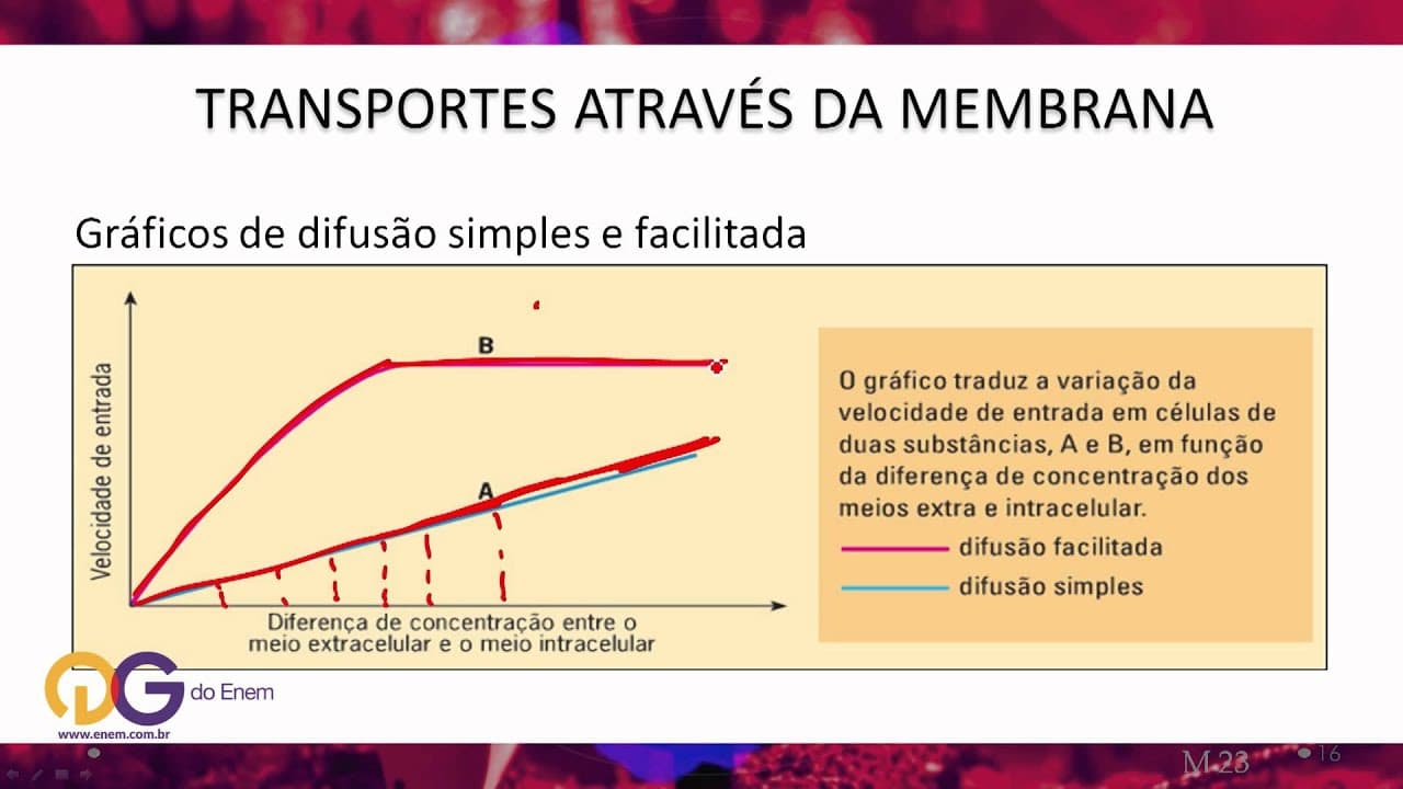 Thumbnail: Biologia: Difusão - ENEM