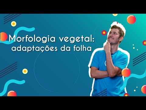 Thumbnail da aula: Morfologia vegetal: adaptações da folha - Brasil Escola